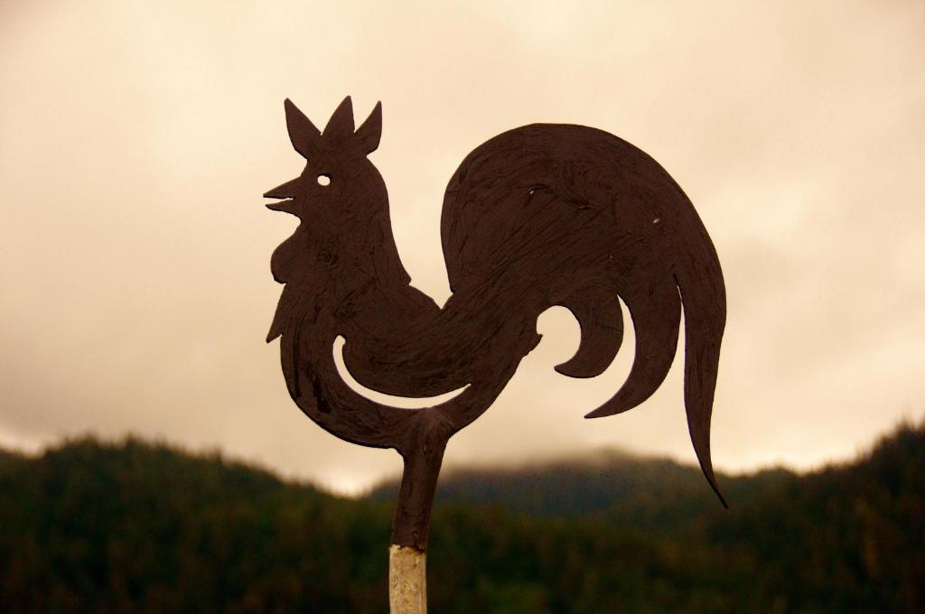 Black Rooster Guesthouse Prince Rupert Exterior photo